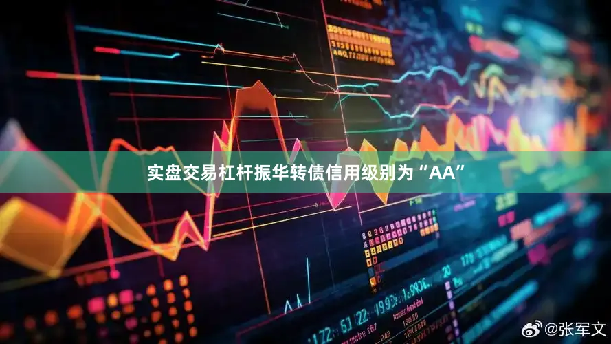 实盘交易杠杆振华转债信用级别为“AA”