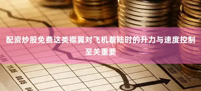 配资炒股免费这类襟翼对飞机着陆时的升力与速度控制至关重要