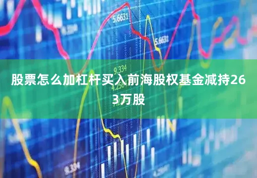 股票怎么加杠杆买入前海股权基金减持263万股