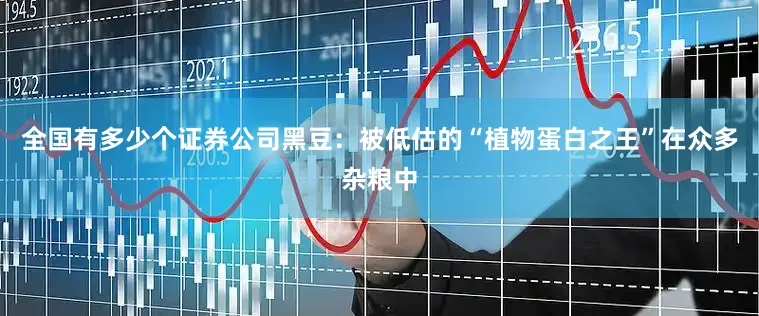 全国有多少个证券公司黑豆：被低估的“植物蛋白之王”在众多杂粮中