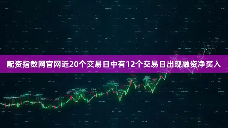 配资指数网官网近20个交易日中有12个交易日出现融资净买入