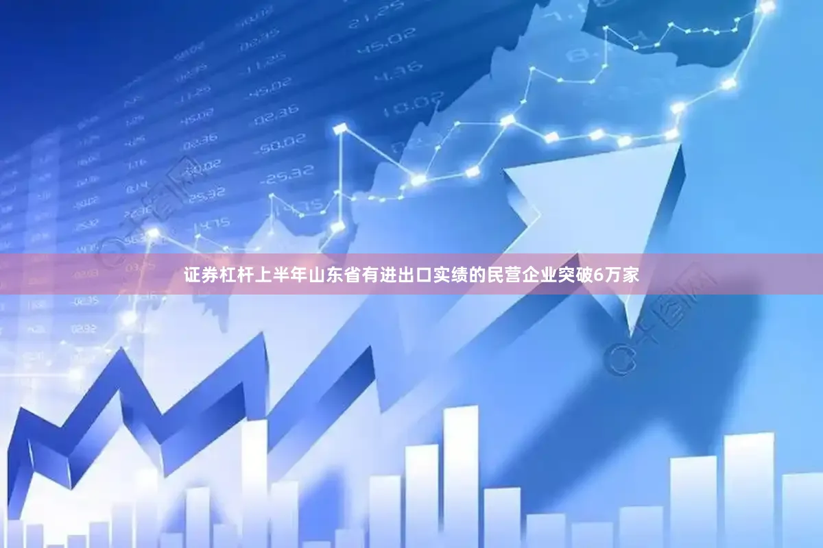 证券杠杆上半年山东省有进出口实绩的民营企业突破6万家